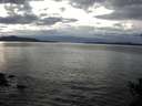 ./images/koeye/fitz-hugh/20141024/fitz-hugh20141024_161003.jpg