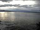 ./images/koeye/fitz-hugh/20141024/fitz-hugh20141024_161502.jpg