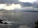 ./images/koeye/fitz-hugh/20141024/fitz-hugh20141024_165501.jpg