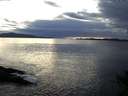 ./images/koeye/fitz-hugh/20141024/fitz-hugh20141024_173503.jpg