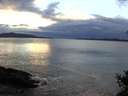 ./images/koeye/fitz-hugh/20141024/fitz-hugh20141024_180503.jpg