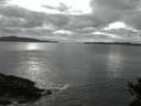 ./images/koeye/fitz-hugh/20141024/fitz-hugh20141024_185502.jpg