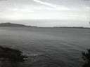 ./images/koeye/fitz-hugh/20141025/fitz-hugh20141025_073503.jpg