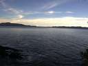 ./images/koeye/fitz-hugh/20141025/fitz-hugh20141025_101003.jpg
