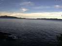 ./images/koeye/fitz-hugh/20141025/fitz-hugh20141025_102002.jpg