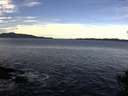 ./images/koeye/fitz-hugh/20141025/fitz-hugh20141025_104001.jpg