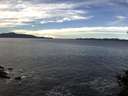 ./images/koeye/fitz-hugh/20141025/fitz-hugh20141025_112502.jpg