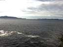 ./images/koeye/fitz-hugh/20141025/fitz-hugh20141025_140002.jpg