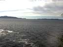 ./images/koeye/fitz-hugh/20141025/fitz-hugh20141025_141003.jpg