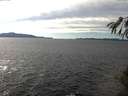 ./images/koeye/fitz-hugh/20141025/fitz-hugh20141025_145501.jpg