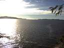 ./images/koeye/fitz-hugh/20141025/fitz-hugh20141025_162002.jpg
