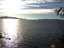 ./images/koeye/fitz-hugh/20141025/fitz-hugh20141025_163502.jpg