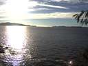 ./images/koeye/fitz-hugh/20141025/fitz-hugh20141025_164003.jpg