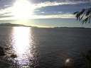 ./images/koeye/fitz-hugh/20141025/fitz-hugh20141025_165503.jpg