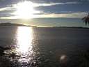 ./images/koeye/fitz-hugh/20141025/fitz-hugh20141025_170502.jpg