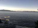 ./images/koeye/fitz-hugh/20141026/fitz-hugh20141026_115002.jpg
