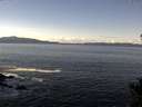 ./images/koeye/fitz-hugh/20141026/fitz-hugh20141026_120503.jpg