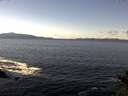 ./images/koeye/fitz-hugh/20141026/fitz-hugh20141026_123503.jpg
