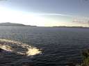 ./images/koeye/fitz-hugh/20141026/fitz-hugh20141026_130502.jpg