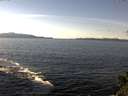 ./images/koeye/fitz-hugh/20141026/fitz-hugh20141026_131501.jpg