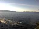 ./images/koeye/fitz-hugh/20141026/fitz-hugh20141026_132502.jpg