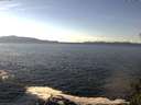 ./images/koeye/fitz-hugh/20141026/fitz-hugh20141026_134501.jpg