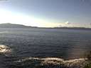 ./images/koeye/fitz-hugh/20141026/fitz-hugh20141026_140003.jpg