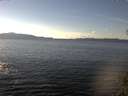 ./images/koeye/fitz-hugh/20141026/fitz-hugh20141026_141002.jpg