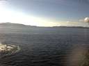 ./images/koeye/fitz-hugh/20141026/fitz-hugh20141026_144003.jpg