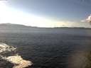 ./images/koeye/fitz-hugh/20141026/fitz-hugh20141026_145003.jpg