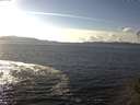 ./images/koeye/fitz-hugh/20141026/fitz-hugh20141026_152501.jpg