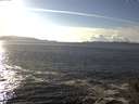 ./images/koeye/fitz-hugh/20141026/fitz-hugh20141026_153502.jpg