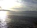 ./images/koeye/fitz-hugh/20141026/fitz-hugh20141026_161002.jpg