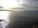 ./images/koeye/fitz-hugh/20141026/fitz-hugh20141026_162003.jpg