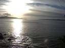 ./images/koeye/fitz-hugh/20141026/fitz-hugh20141026_170503.jpg