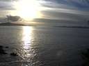 ./images/koeye/fitz-hugh/20141026/fitz-hugh20141026_171503.jpg