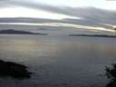 ./images/koeye/fitz-hugh/20141026/fitz-hugh20141026_184003.jpg