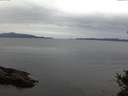 ./images/koeye/fitz-hugh/20141027/fitz-hugh20141027_081002.jpg