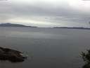 ./images/koeye/fitz-hugh/20141027/fitz-hugh20141027_081503.jpg