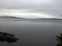 ./images/koeye/fitz-hugh/20141027/fitz-hugh20141027_082502.jpg