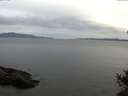 ./images/koeye/fitz-hugh/20141027/fitz-hugh20141027_085502.jpg