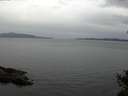 ./images/koeye/fitz-hugh/20141027/fitz-hugh20141027_112001.jpg