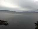./images/koeye/fitz-hugh/20141027/fitz-hugh20141027_115002.jpg