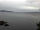 ./images/koeye/fitz-hugh/20141027/fitz-hugh20141027_120503.jpg
