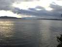 ./images/koeye/fitz-hugh/20141027/fitz-hugh20141027_164502.jpg
