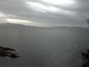./images/koeye/fitz-hugh/20141027/fitz-hugh20141027_184502.jpg