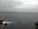./images/koeye/fitz-hugh/20141028/fitz-hugh20141028_080503.jpg