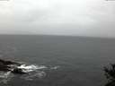 ./images/koeye/fitz-hugh/20141028/fitz-hugh20141028_081502.jpg