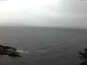 ./images/koeye/fitz-hugh/20141028/fitz-hugh20141028_082002.jpg