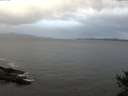 ./images/koeye/fitz-hugh/20141028/fitz-hugh20141028_085502.jpg